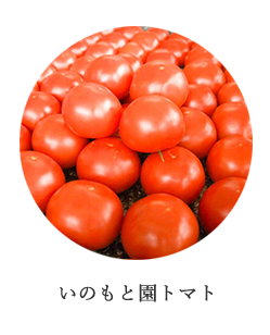 いのもと園　トマト