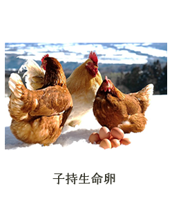 子持生命卵