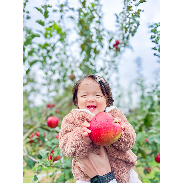 りんごの家 山口果樹園賞